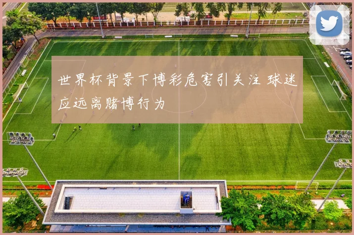 世界杯背景下博彩危害引关注 球迷应远离赌博行为