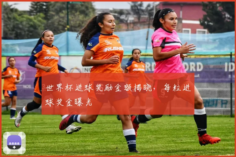 世界杯进球奖励金额揭晓，每粒进球奖金曝光